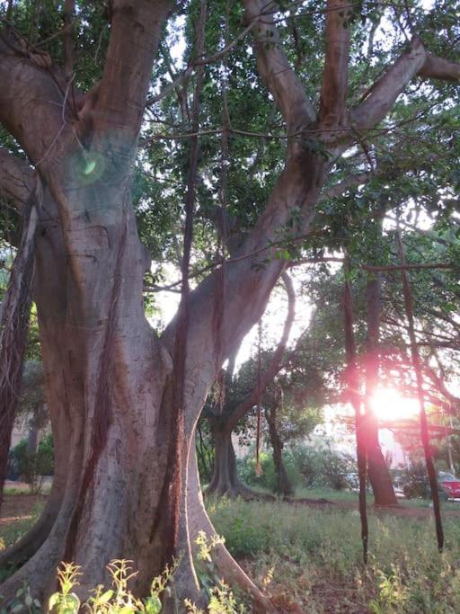 Relax Nel Verde- Giodapi Palm Παλέρμο Εξωτερικό φωτογραφία